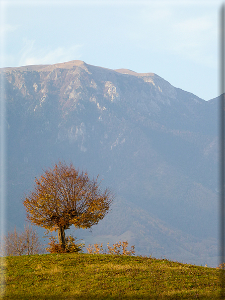 foto Paesaggi Autunnali